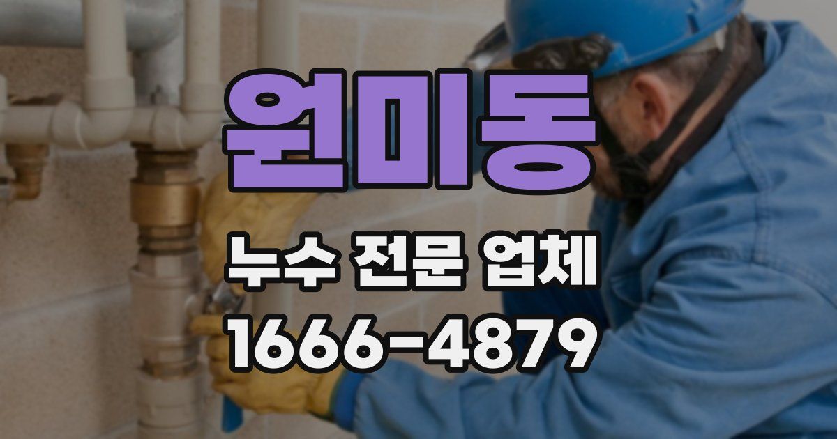 원미동 누수 전문 업체