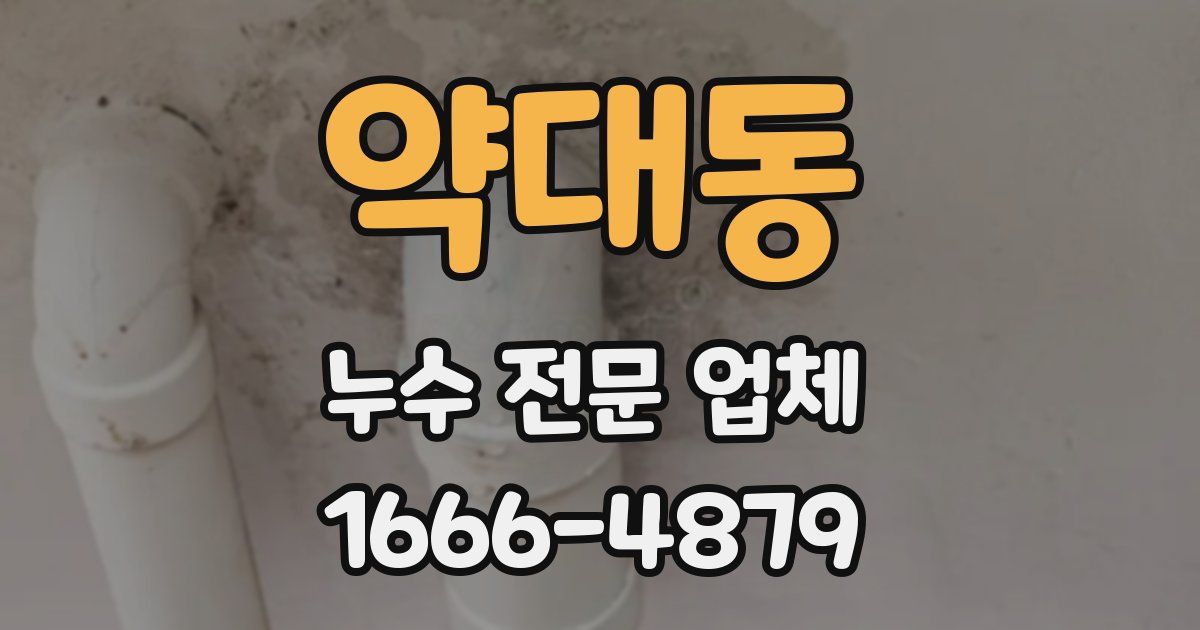 약대동 누수 전문 업체