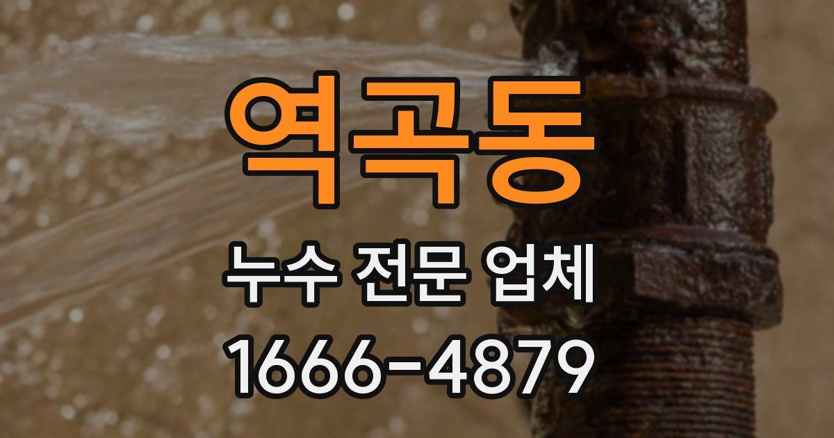 역곡동 누수 전문 업체