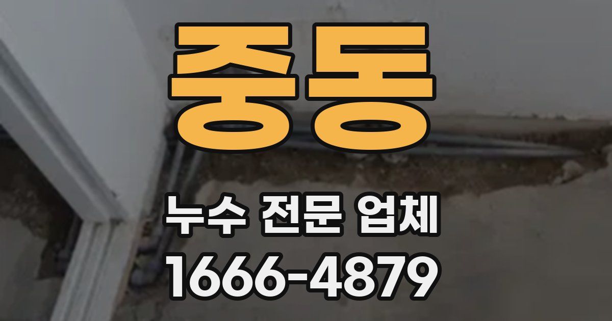 중동 누수 전문 업체