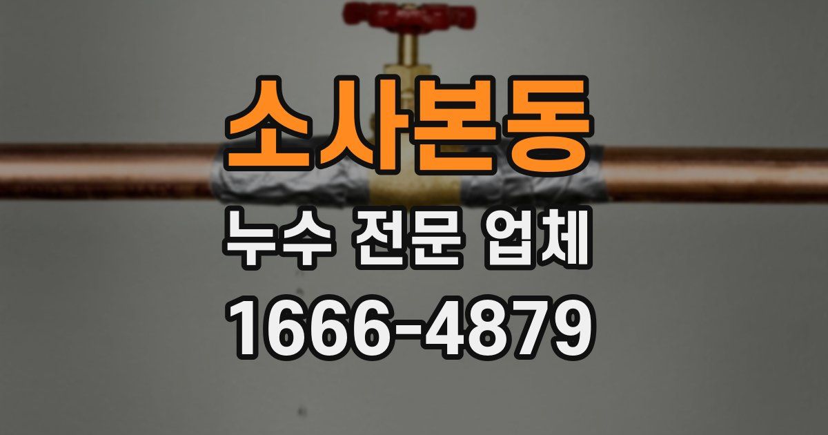 소사본동 누수 전문 업체