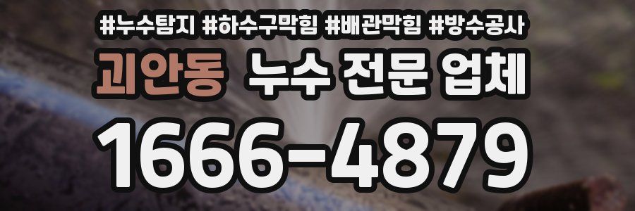 괴안동 누수 전문 업체