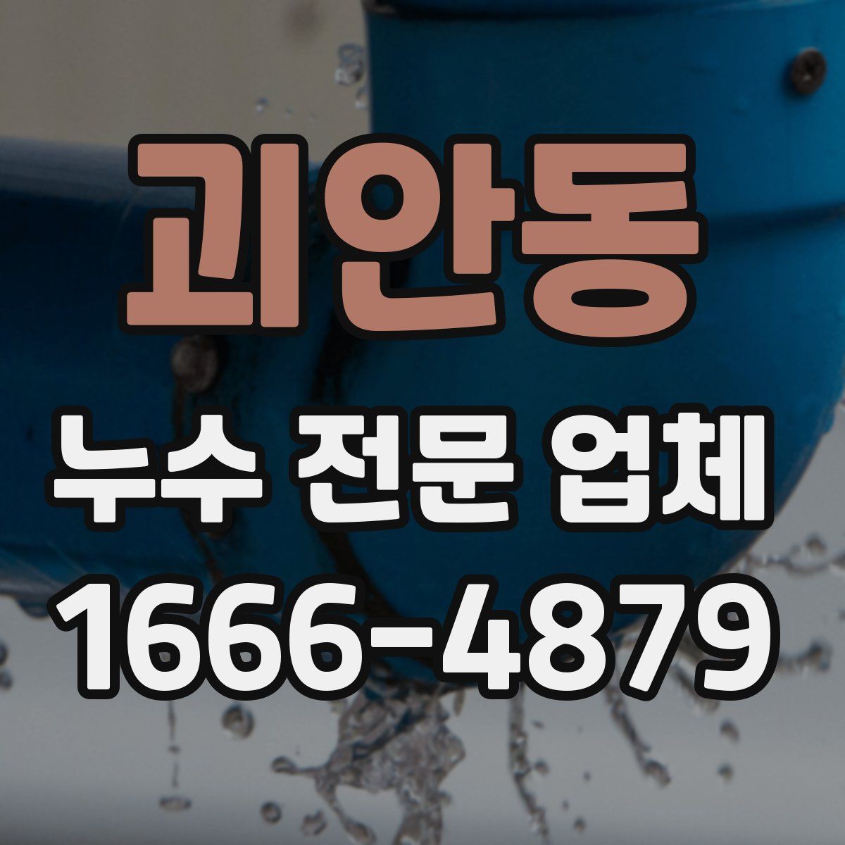 괴안동 누수 전문 업체