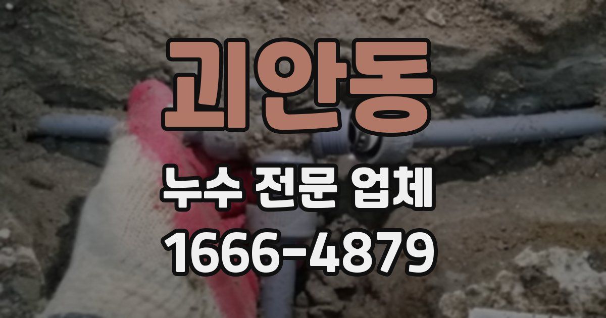괴안동 누수 전문 업체