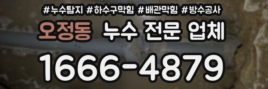 오정동 누수 전문 업체