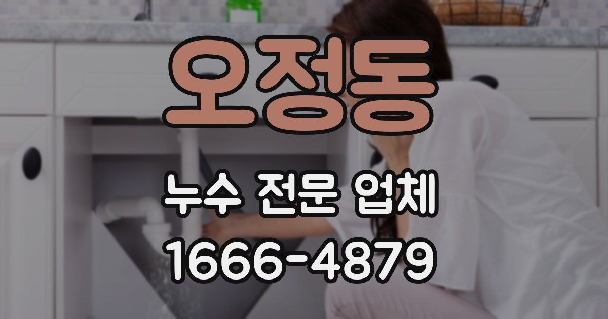 오정동 누수 전문 업체