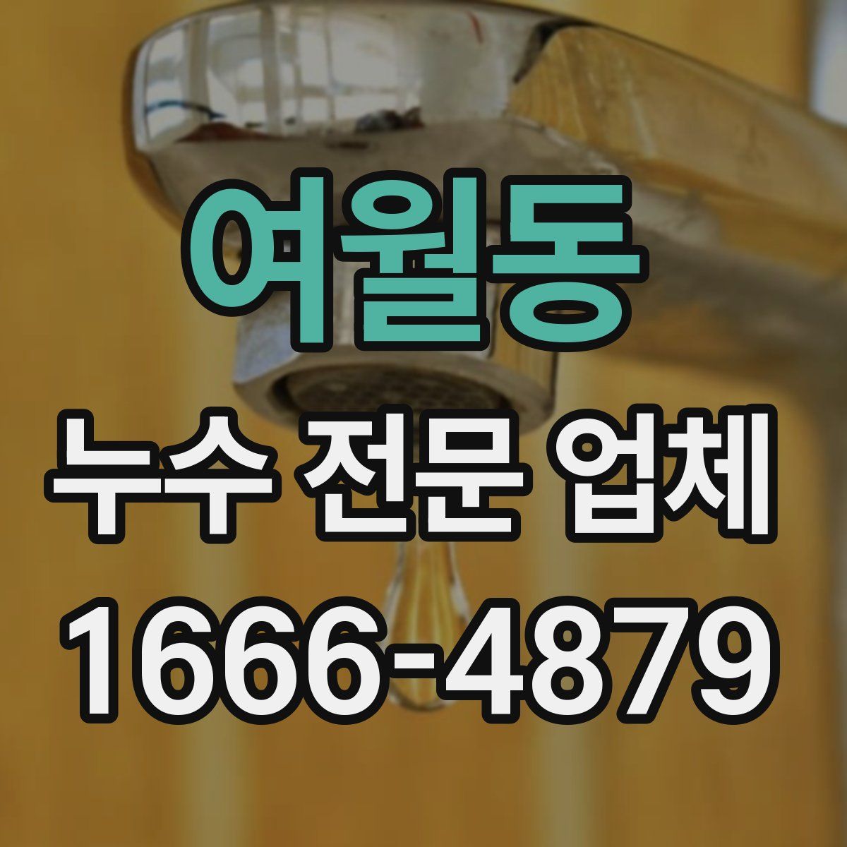여월동 누수 전문 업체