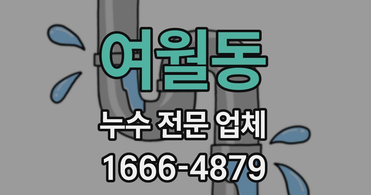 여월동 누수 전문 업체