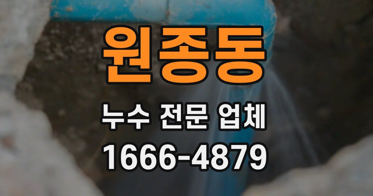 원종동 누수 전문 업체