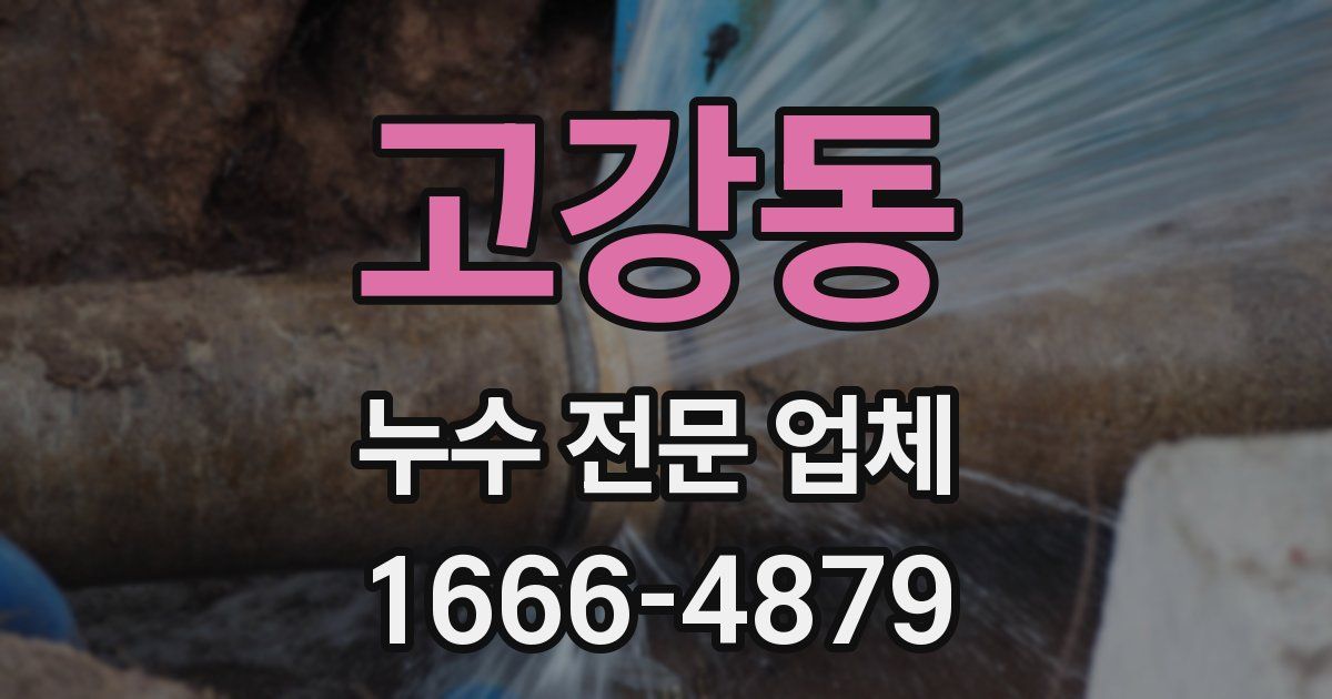 고강동 누수 전문 업체