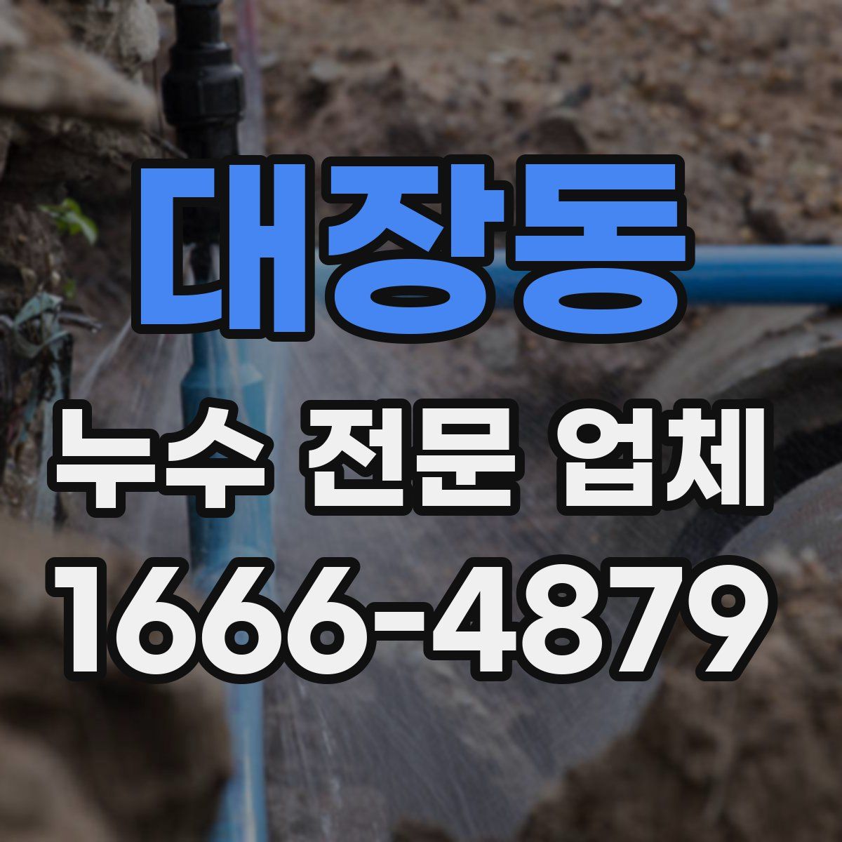 대장동 누수 전문 업체