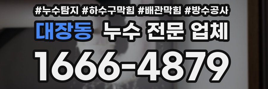 대장동 누수 전문 업체