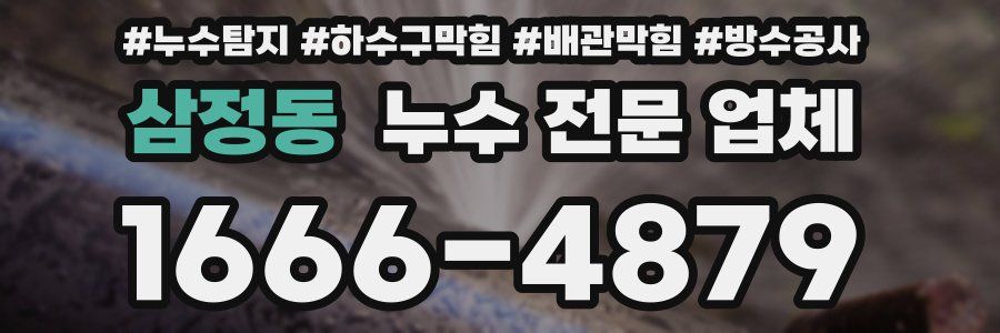 삼정동 누수 전문 업체