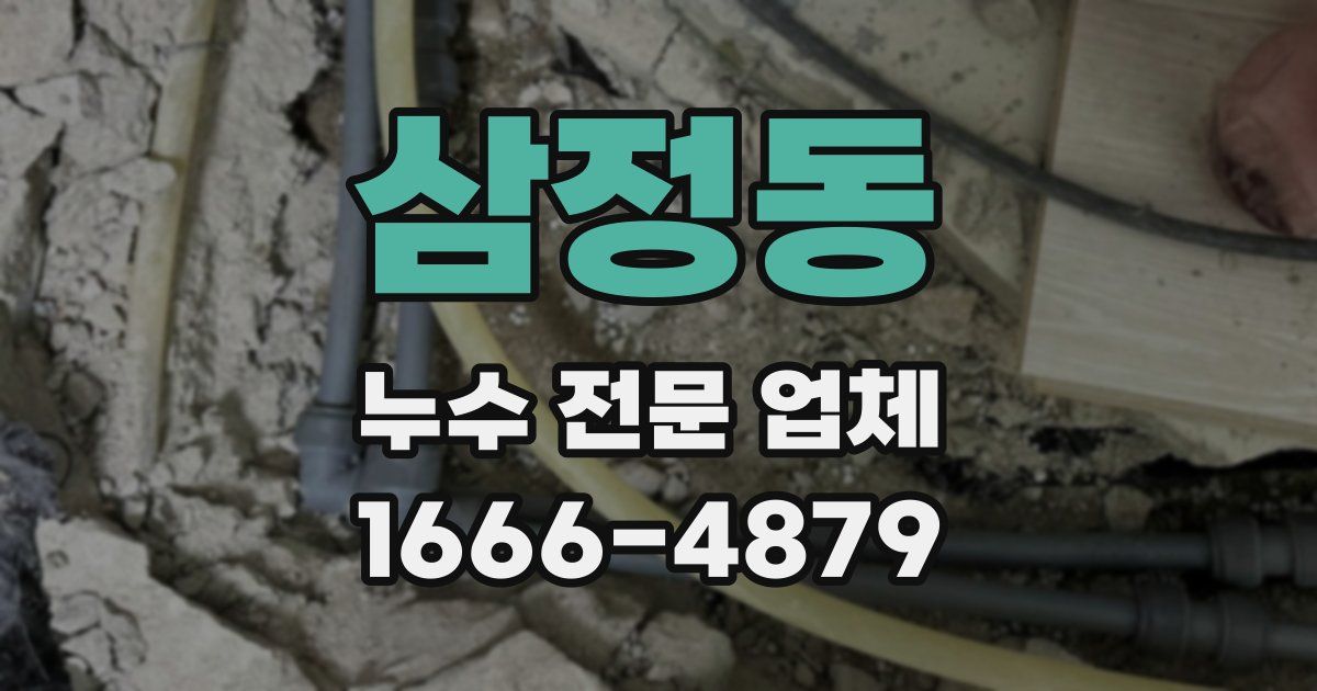 삼정동 누수 전문 업체