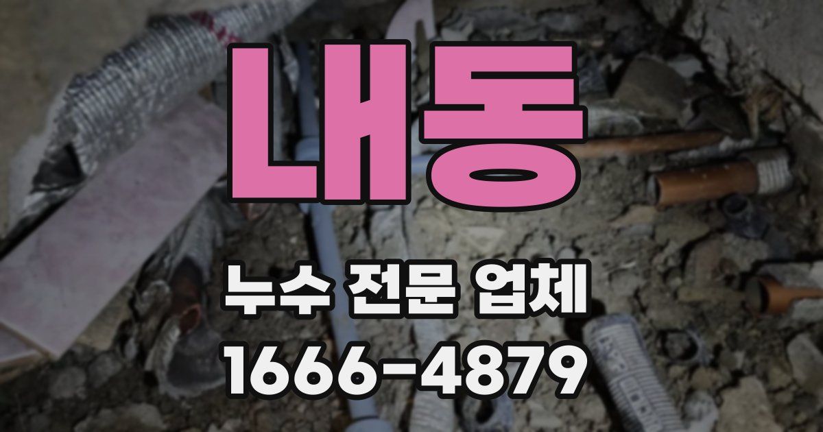 내동 누수 전문 업체
