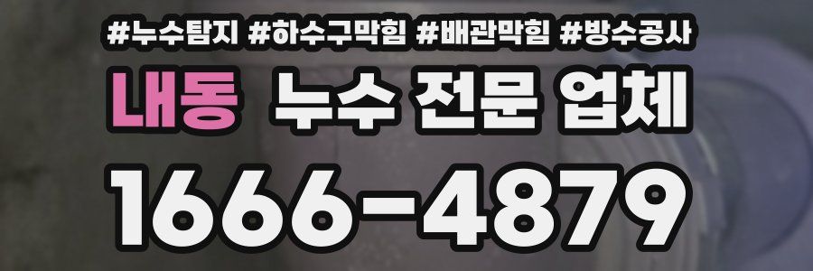 내동 누수 전문 업체