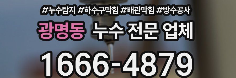 광명동 누수 전문 업체
