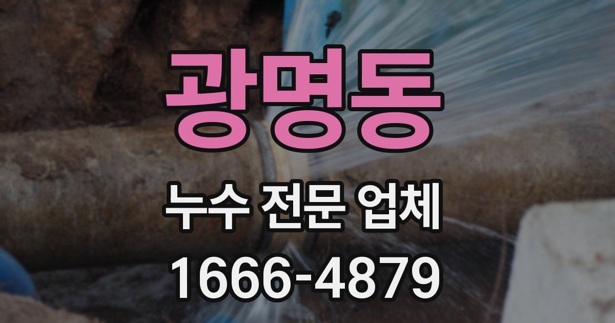 광명동 누수 전문 업체