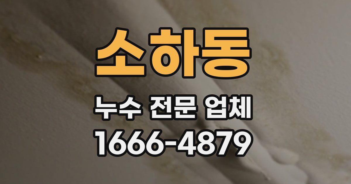 소하동 누수 전문 업체