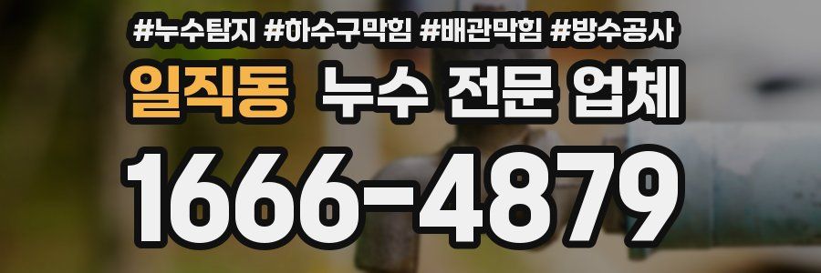 일직동 누수 전문 업체