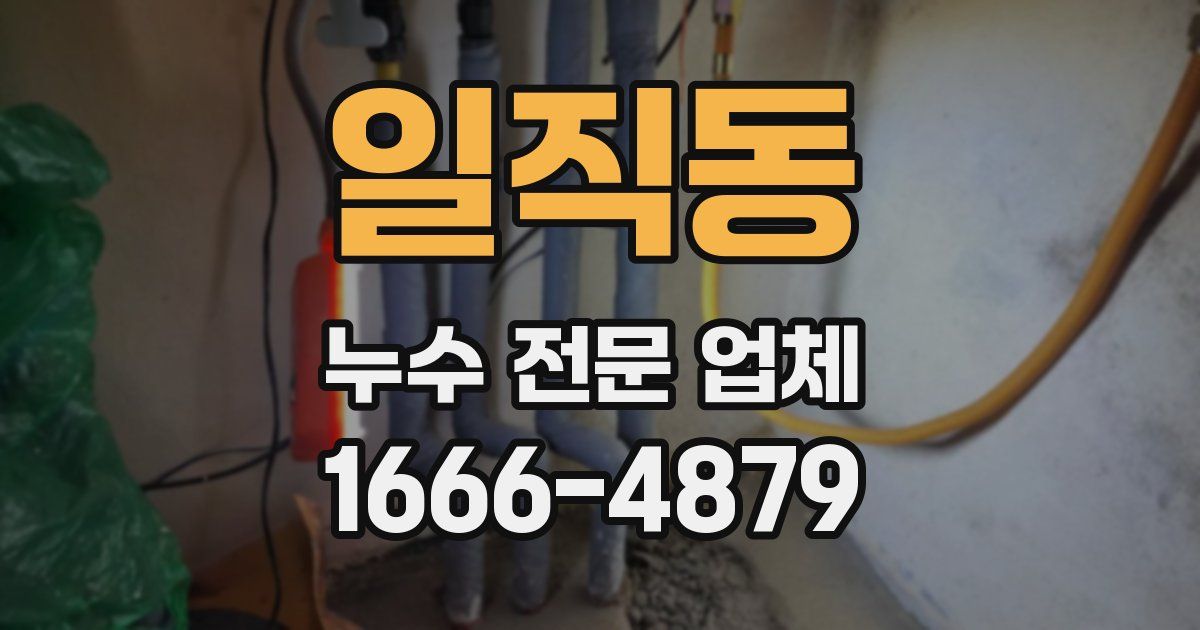 일직동 누수 전문 업체