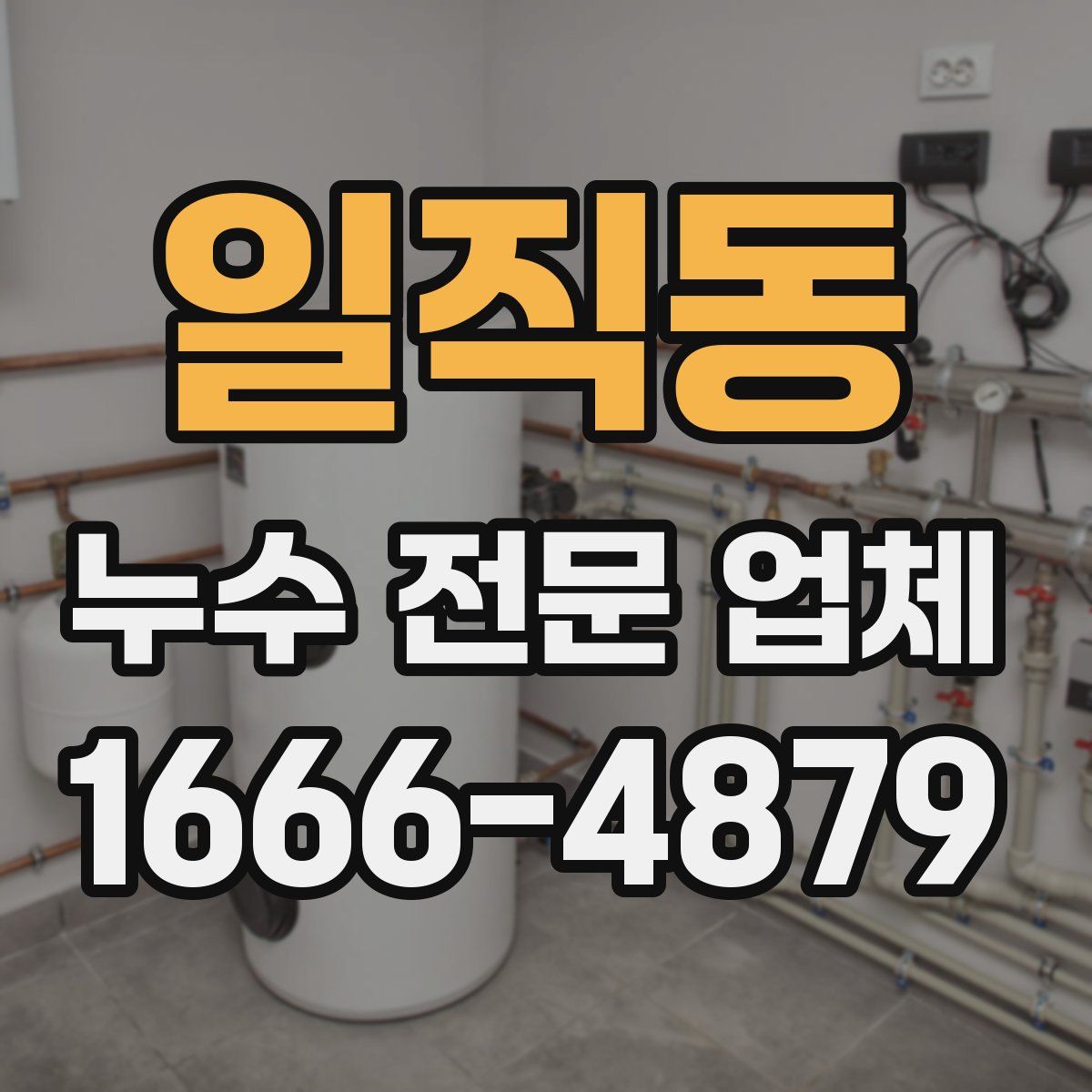 일직동 누수 전문 업체