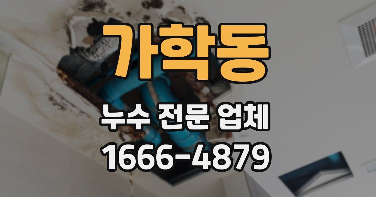 가학동 누수 전문 업체