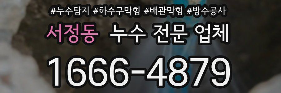 서정동 누수 전문 업체