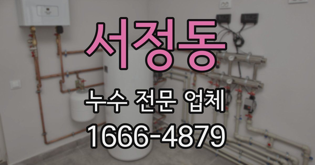 서정동 누수 전문 업체