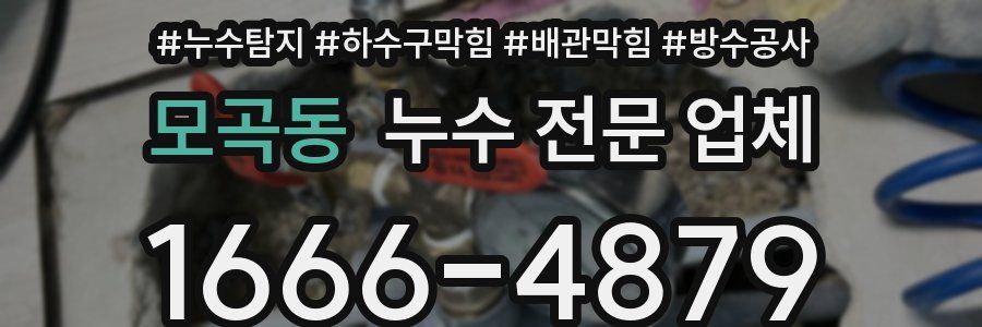 모곡동 누수 전문 업체