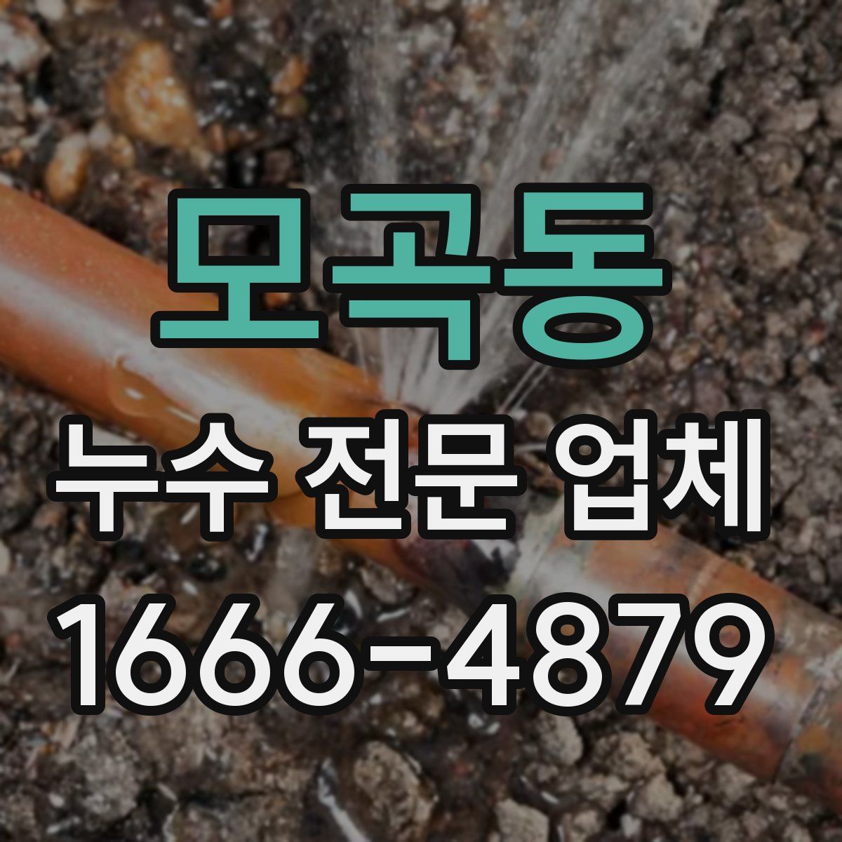 모곡동 누수 전문 업체