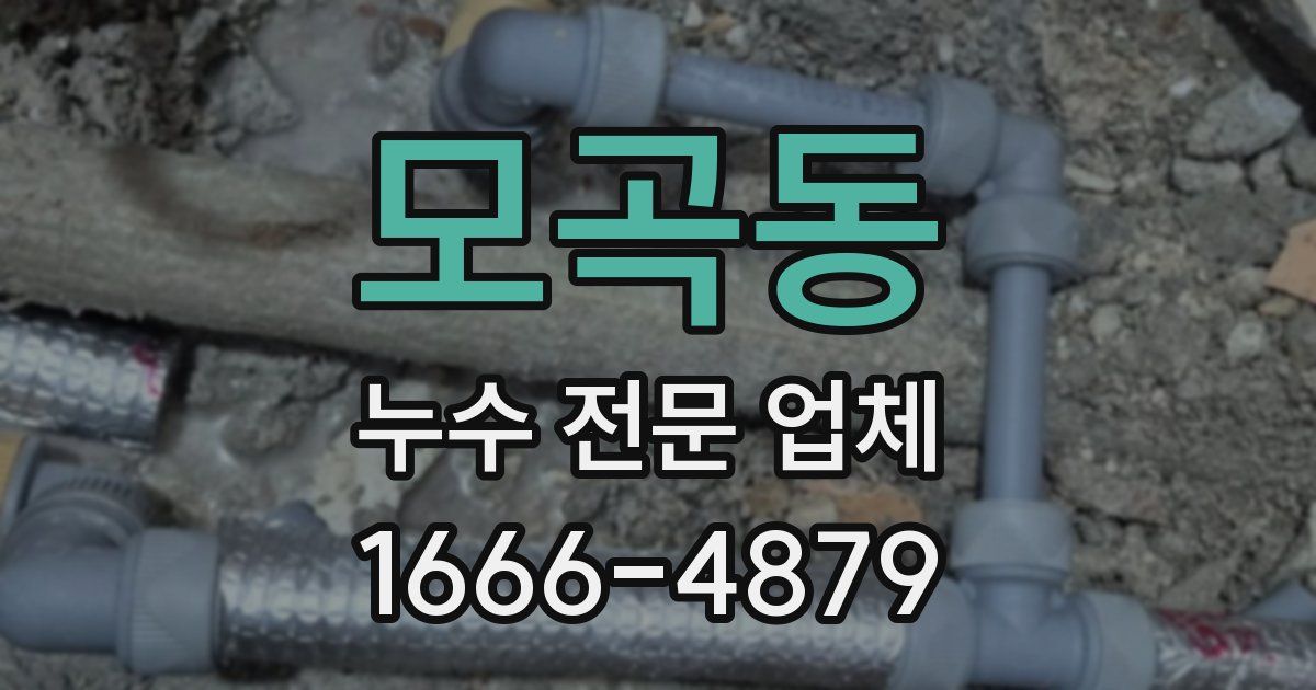 모곡동 누수 전문 업체