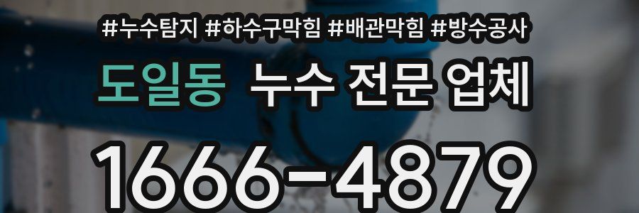 도일동 누수 전문 업체