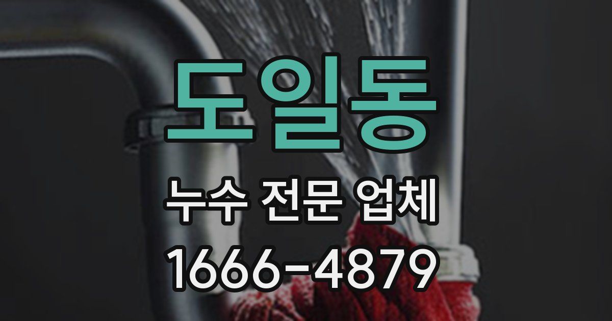 도일동 누수 전문 업체