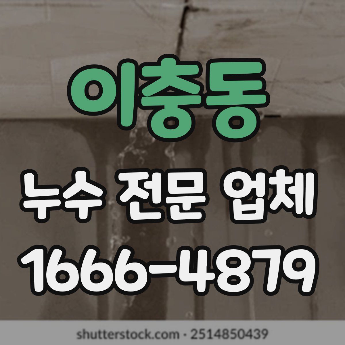이충동 누수 전문 업체