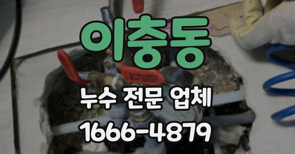이충동 누수 전문 업체