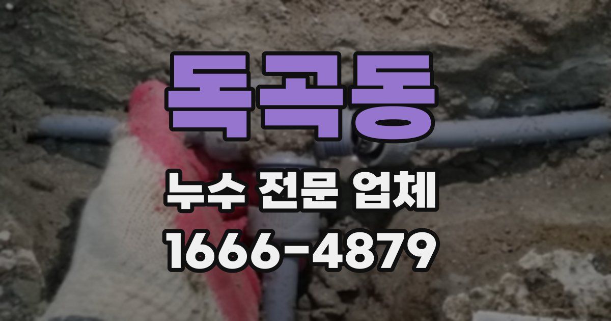 독곡동 누수 전문 업체