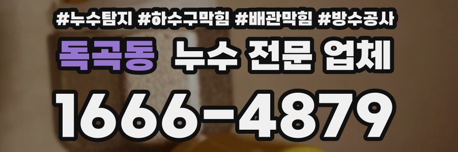 독곡동 누수 전문 업체
