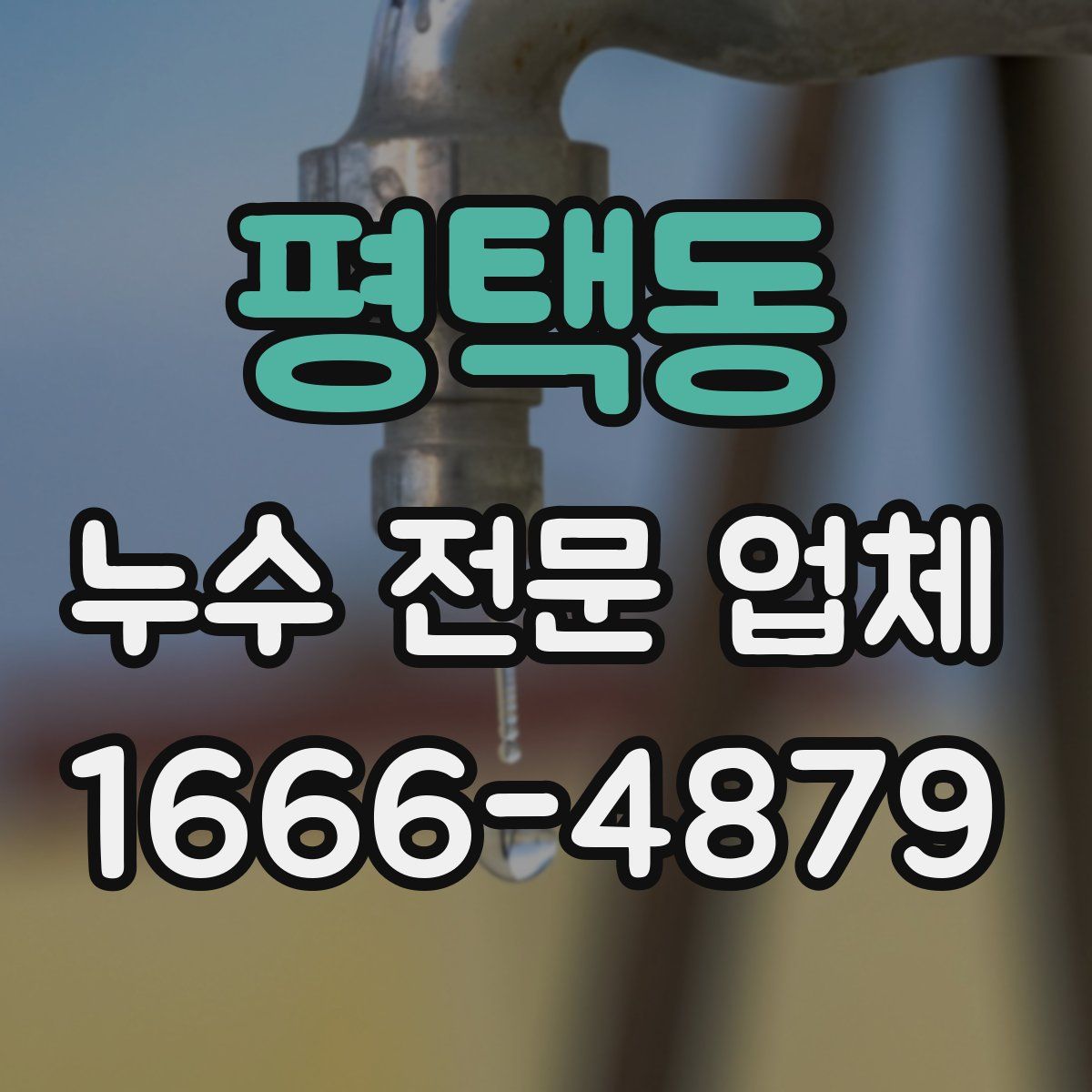 평택동 누수 전문 업체