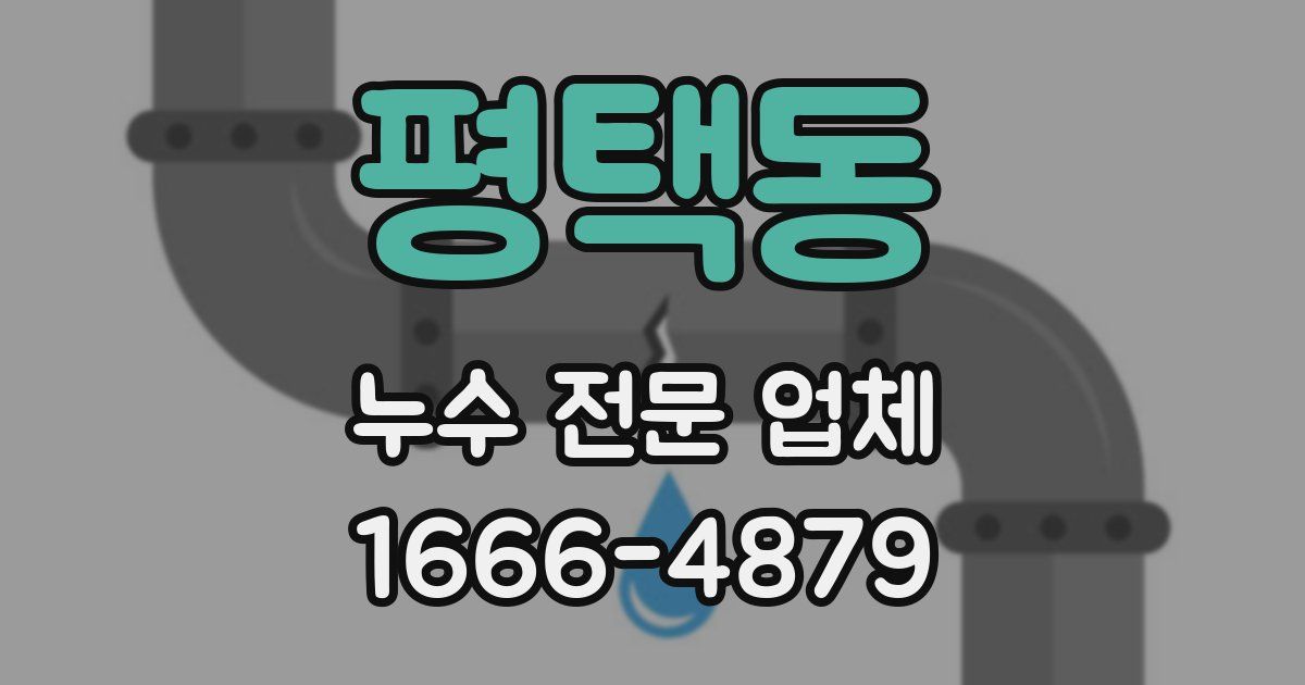 평택동 누수 전문 업체
