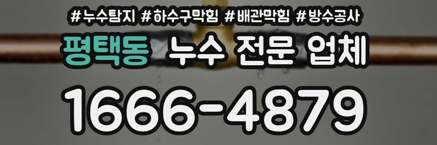 평택동 누수 전문 업체