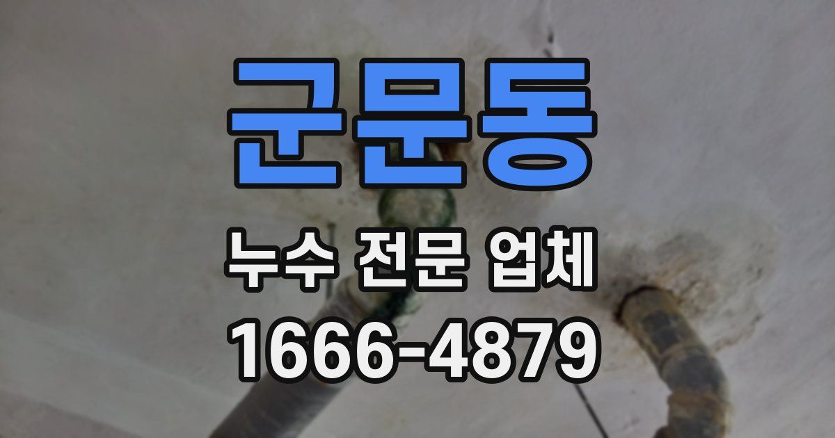 군문동 누수 전문 업체