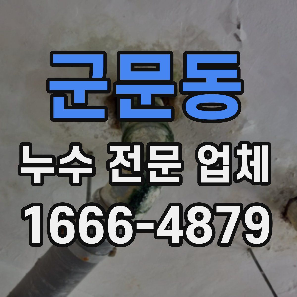 군문동 누수 전문 업체