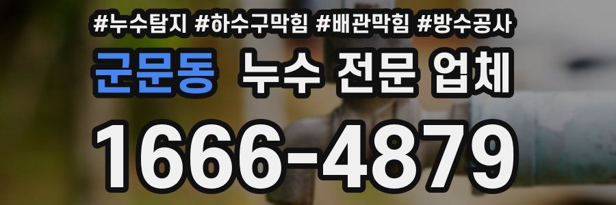 군문동 누수 전문 업체