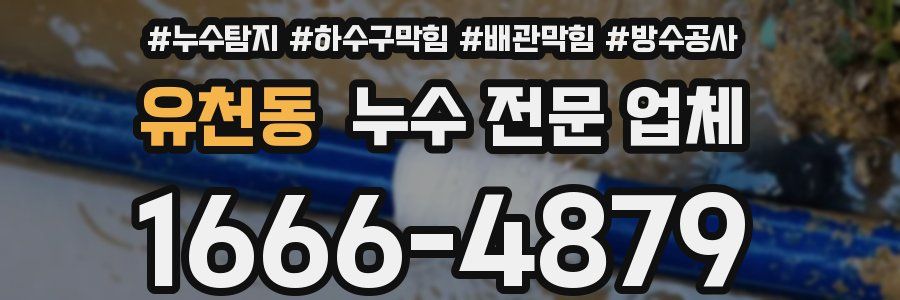 유천동 누수 전문 업체