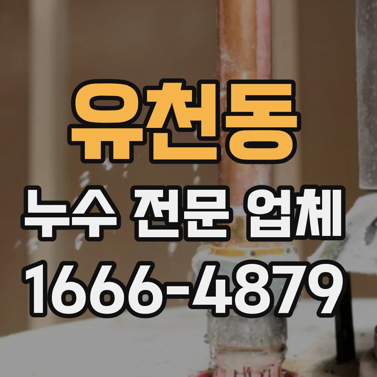 유천동 누수 전문 업체