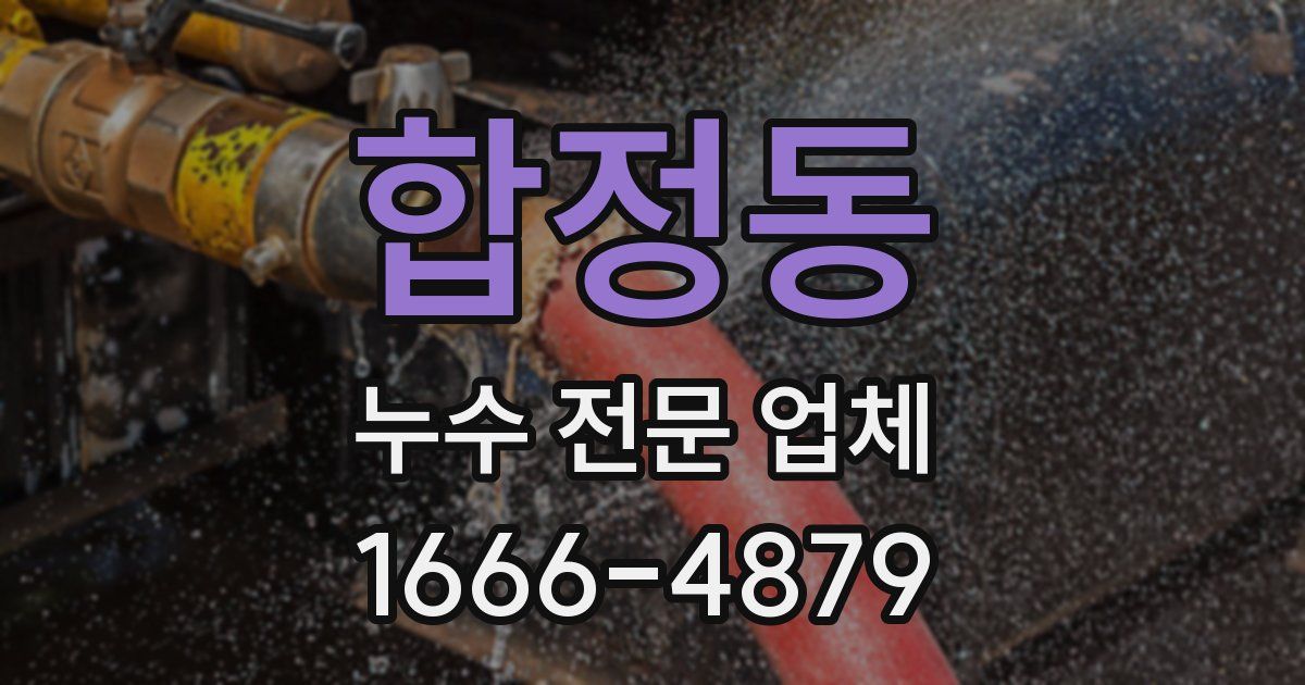 합정동 누수 전문 업체