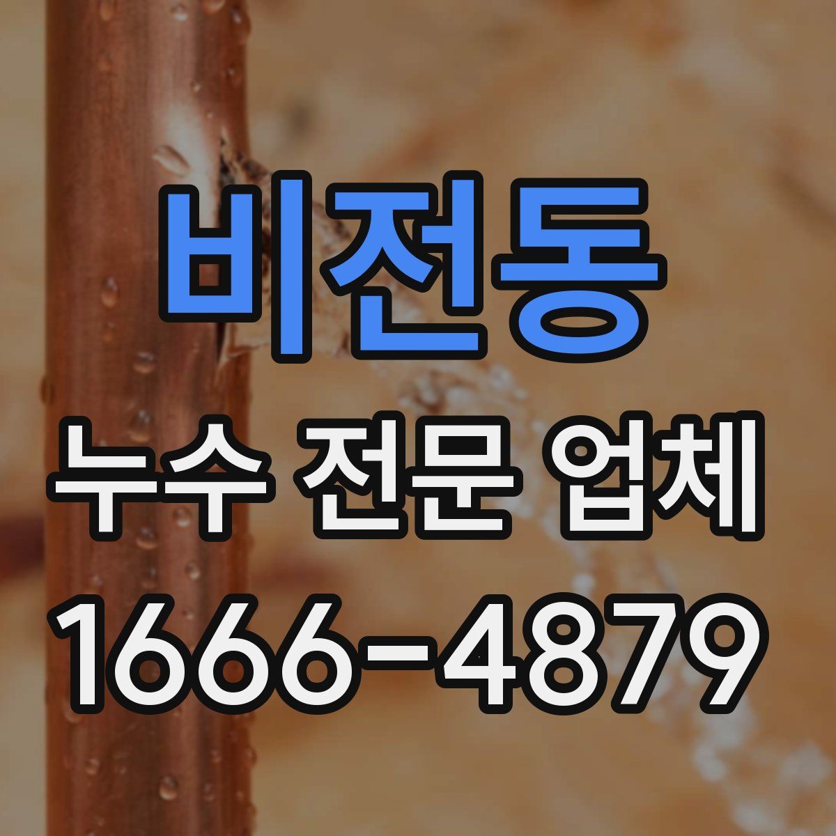 비전동 누수 전문 업체