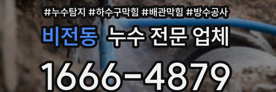 비전동 누수 전문 업체