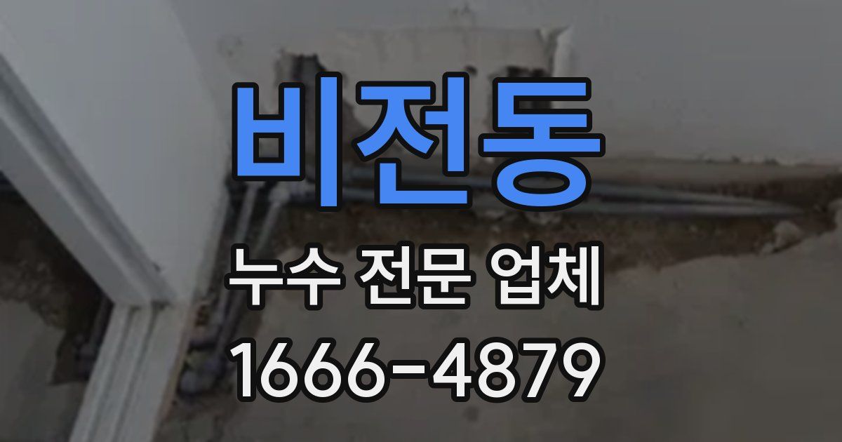 비전동 누수 전문 업체